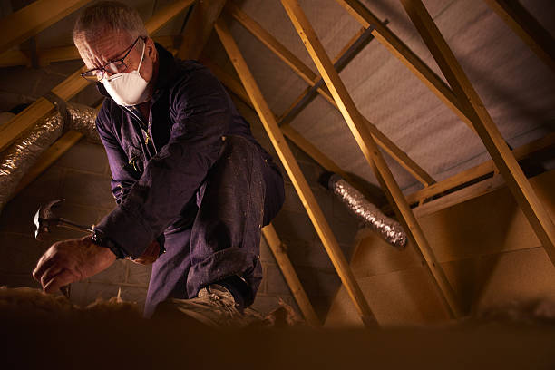 Best Insulation Maintenance and Repair in Silver Lake, NC