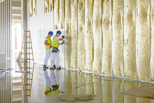 Best Insulation for Specific Applications in Silver Lake, NC